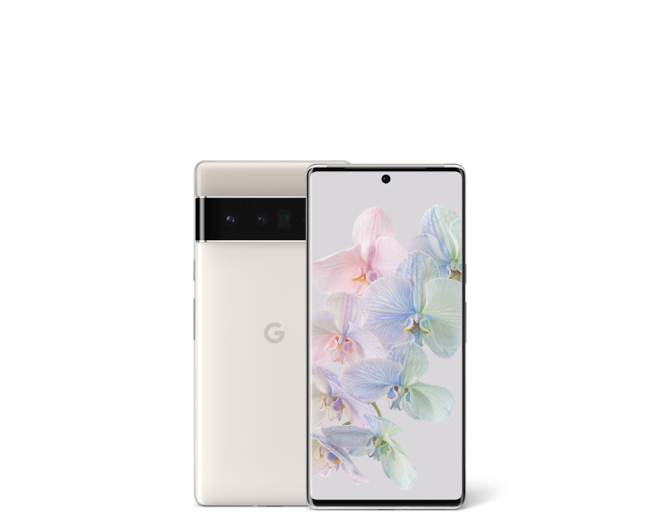 Google Pixel 6 Pro Reparatur